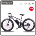 MOTORLIFE 48v 1000w grasa neumático ebike verde potencia motor eléctrico bicicleta